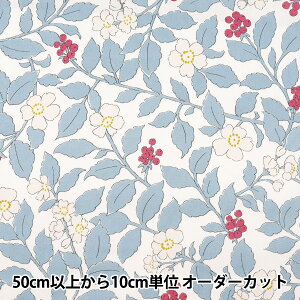 y5z n wcC tbVK[f Cgu[ TWFGR-LBLx