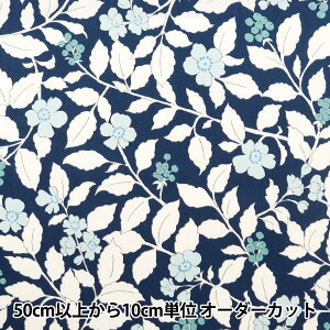 y5z n wcC tbVK[f lCr[ TWFGR-NVx