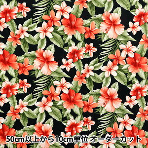 y5z n wu[h nCrXJX ubN 4236-1-1x