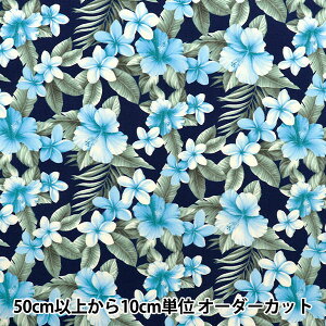 y5z n wu[h nCrXJX lCr[ 4236-1-2x