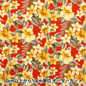 y5z n wu[h nCrXJX bh 4236-1-4x