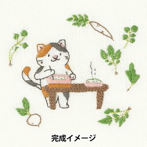 hイLbg wChicchi OєLƂ JPT100x DMC fB[GV[
