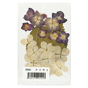 ԃLbg w݂ĉԃpbN AWTC PH001x