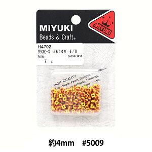 r[Y wXgCvr[Y 4mm #5009 7g H4702x MIYUKI ~L