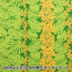 y5z n wTCnCAvg {[_[ O[ 205003-217x