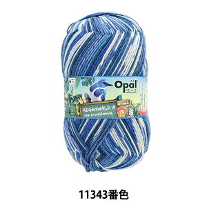 \bN[ ю w[Q@g19 6ply 11343ԐFx Opal Ip[