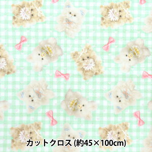 n wimaDOKIkids JbgNX 45cm×100cm ӂӂxr[{ O[ IMAF-22C-Gx KIYOHARA 