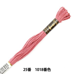 hイ wAnchor(AJ[) 25ԎhJ 1018ԐFx