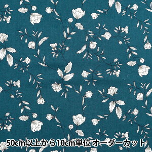 y5z n w60[ 炩H }`K[f J lCr[ 60LA-MG123-4Bx