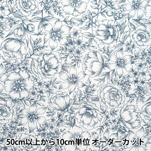 y5z n w60[ 炩H }`K[f `̂ lCr[ 60LA-MG223-4Bx