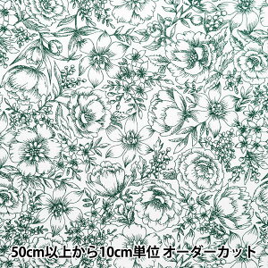 y5z n w60[ 炩H }`K[f `̂ O[ 60LA-MG223-4Dx
