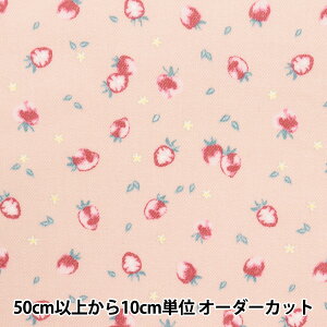 y5z n w͂cC  sN TWTC-ST-PKx yUIWiz