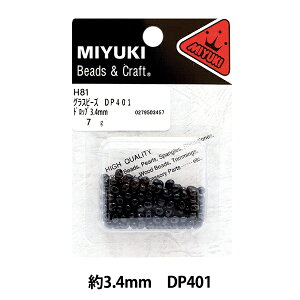 r[Y wOXr[Y hbv  DP401 H81x MIYUKI ~L