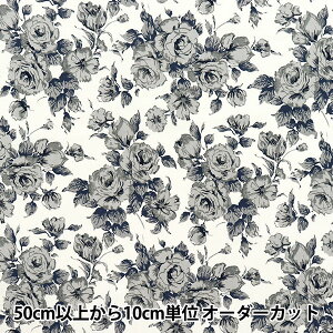 y5z n woeBEt@ubNX sJf[|v J[C 3637075-ZPx Liberty Japan oeBWp