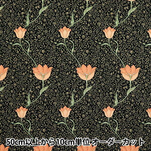 �y����5����z ���n �wV&A �V�[�`���O ���h�E�F�C YU70006-E�x