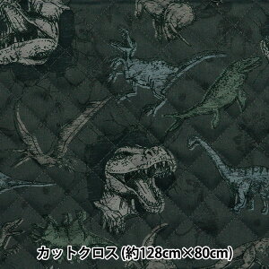 n w͂RۖhL|GXeLg JbgNX 128cm×80cm _Ci\[ `R[ CQHP-SC-DI-CHx