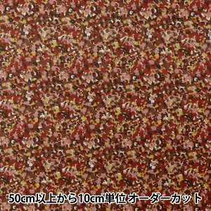 y5z n woeBEt@ubNX GA[Rbg XvN DC31026-J24Cx Liberty Japan oeBWp