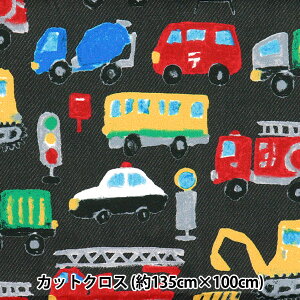 n w͂RۖhL|GXe JbgNX 135cm×100cm N ubN C-HP-SC-CR-BKx