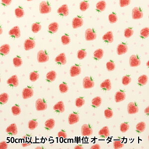 y5z n w͂|GXe XCTCC`S x[W HP-SHBER-BEx