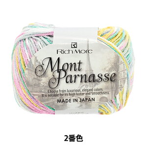 tĖю wpiX 2ԐFx RichMore b`A