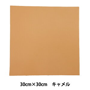 ���U�[�f�� �w�{�v�V�[�g 30cm×30cm �L������ ST30x30cmNA�x