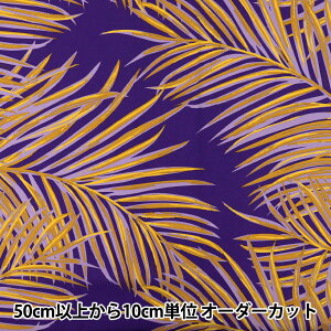 y5z n w}EiA TCnCAvg p[[t p[v ZK005008x