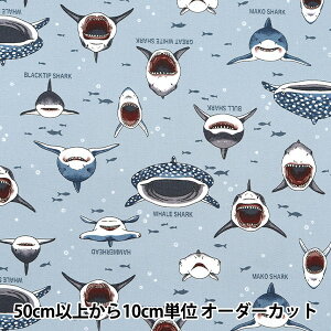 y5z n wIbNX JtLoX TTV[N ݃u[ COCAN-SHA-KBLx KOKKA RbJ