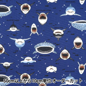 y5z n wIbNX JtLoX TTV[N lCr[ COCAN-SHA-NVx KOKKA RbJ