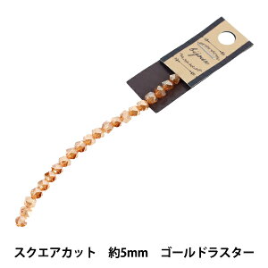 �r�[�Y �w�K���X�r�[�Y �X�N�G�A�J�b�g ��5mm �S�[���h���X�^�[ JAN25-57-C�x