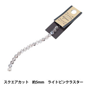 �r�[�Y �w�K���X�r�[�Y �X�N�G�A�J�b�g ��5mm ���C�g�s���N���X�^�[ JAN25-57-M�x