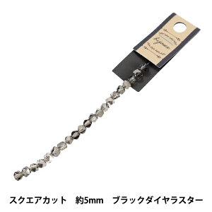 �r�[�Y �w�K���X�r�[�Y �X�N�G�A�J�b�g ��5mm �u���b�N�_�C�����X�^�[ JAN25-57-S�x