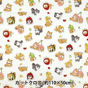 n wV[`O t[c JbgNX 110cm×50cm AC{[ C-AP55903-1Ax