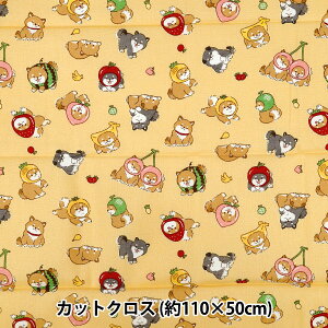 n wV[`O t[c JbgNX 110cm×50cm CG[ C-AP55903-1Bx