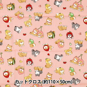 n wV[`O t[c JbgNX 110cm×50cm sN C-AP55903-1Cx