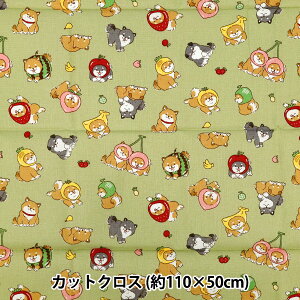 n wV[`O t[c JbgNX 110cm×50cm O[ C-AP55903-1Dx