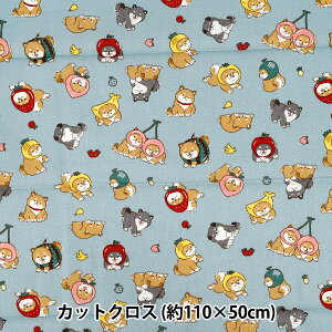 n wV[`O t[c JbgNX 110cm×50cm u[ C-AP55903-1Ex