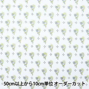 y5z n w60[ Neo Classic II  YQA-96000-2Ax KOKKA RbJ