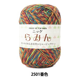 H~ю w݂ 2501ԐFx NIKKEVICTOR jbPrN^[