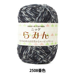 H~ю w݂ 2508ԐFx NIKKEVICTOR jbPrN^[