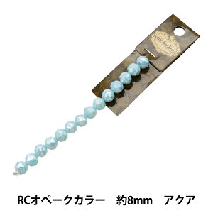 ANZT[f wKXr[Y RCIy[NJ[ 8mm ANA GN-08-24SS-06x