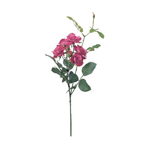 ���� �V���N�t�����[ �w���[�Y�s�b�N×7 ���Y�x���[ A-36112-005R�x asca �A�X�J����