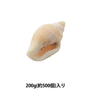 y1000~|bLz ANZT[f wVFp[c iTVF 022x yyVX[p[SALEz