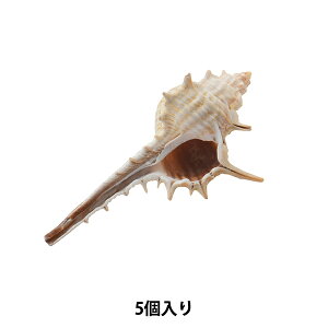 y1000~|bLz ANZT[f wVFp[c bNX 051x yyVX[p[SALEz