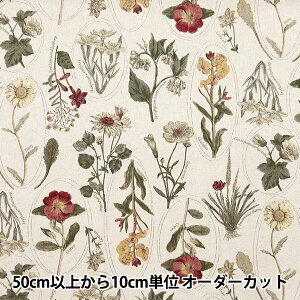 y5z n wȖLoX A}ӕ sNCbh CLPLEN-PKREx