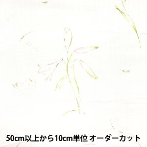 y5z n wijC I[KjbNWK[[ GUNSEI EGX-11380-1Ax KOKKA RbJ