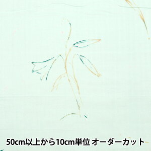 y5z n wijC I[KjbNWK[[ GUNSEI EGX-11380-1Bx KOKKA RbJ