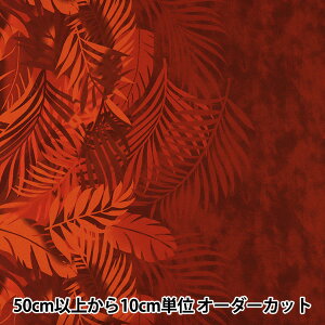 y5z n w}EiA TCnCAvg Of[V bh YFOP0337x