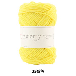 H~ю wAmerry (A[) 25ԐFx Hamanaka n}iJ