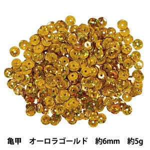 �X�p���R�[�� �w�T�b ��6mm �I�[�����S�[���h SP6-B16�x