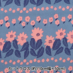 n wkippis (LbsX) IbNX JbgNX 110×50cm s̃}[Kbg lCr[ KPOK-69Cx